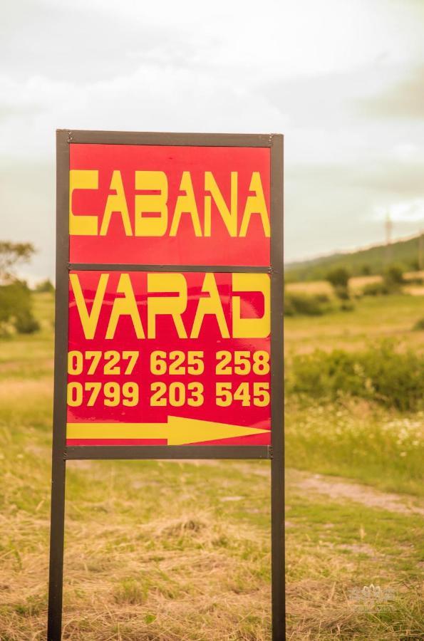 Cabana Varad Coronini Moldova Veche Esterno foto